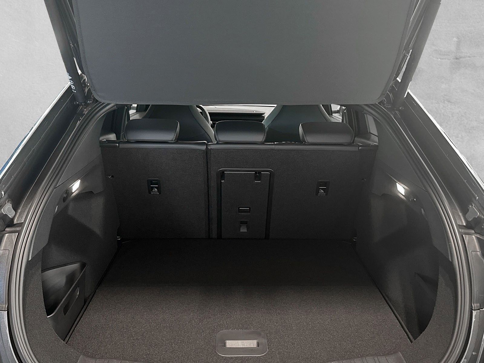 Fahrzeugabbildung Ford Capri 250kW Dual-Motor AWD Premium