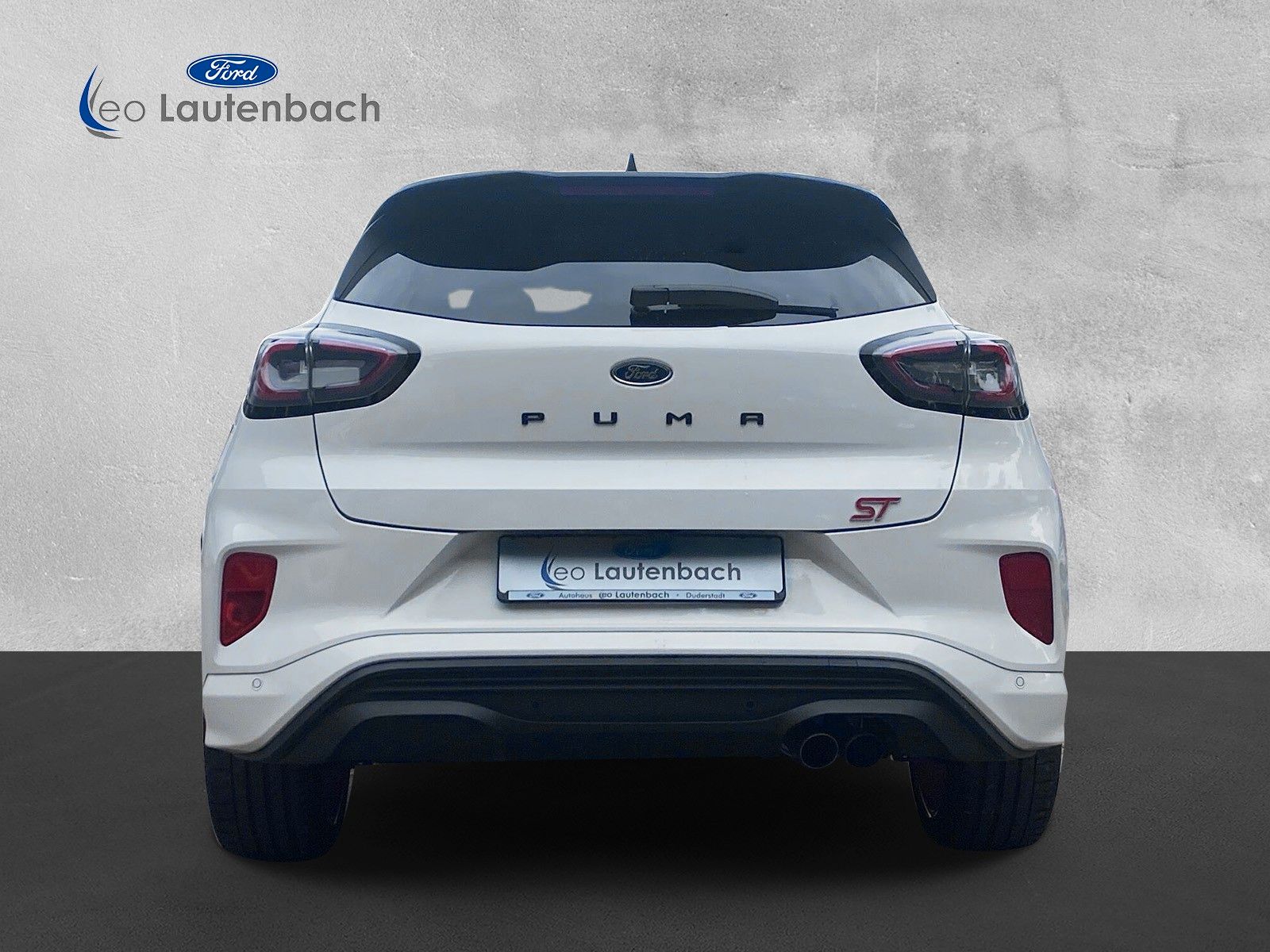 Fahrzeugabbildung Ford Puma ST X