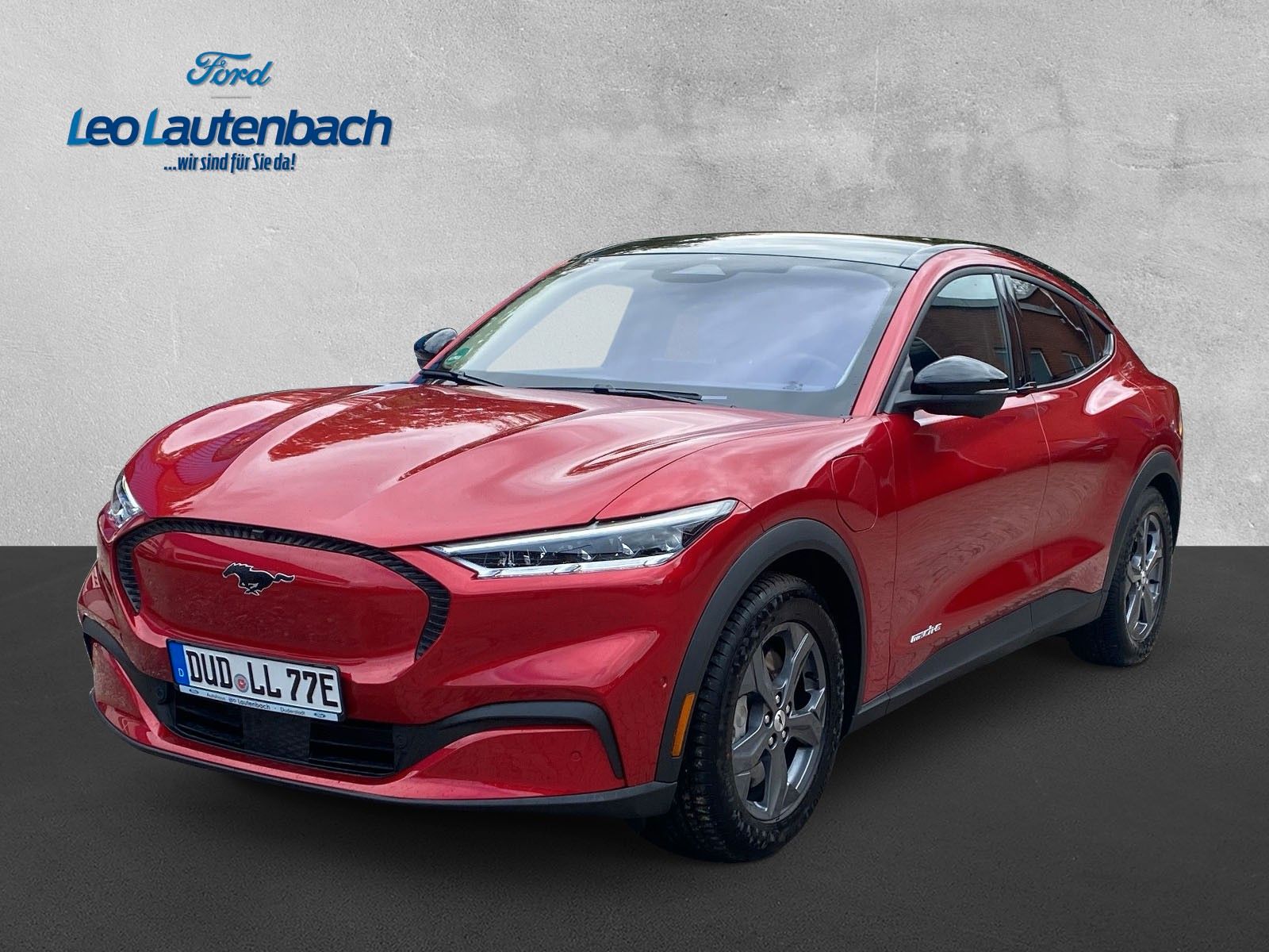 Fahrzeugabbildung Ford Mustang Mach-E