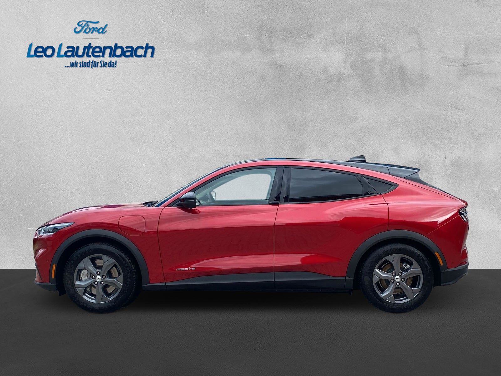Fahrzeugabbildung Ford Mustang Mach-E