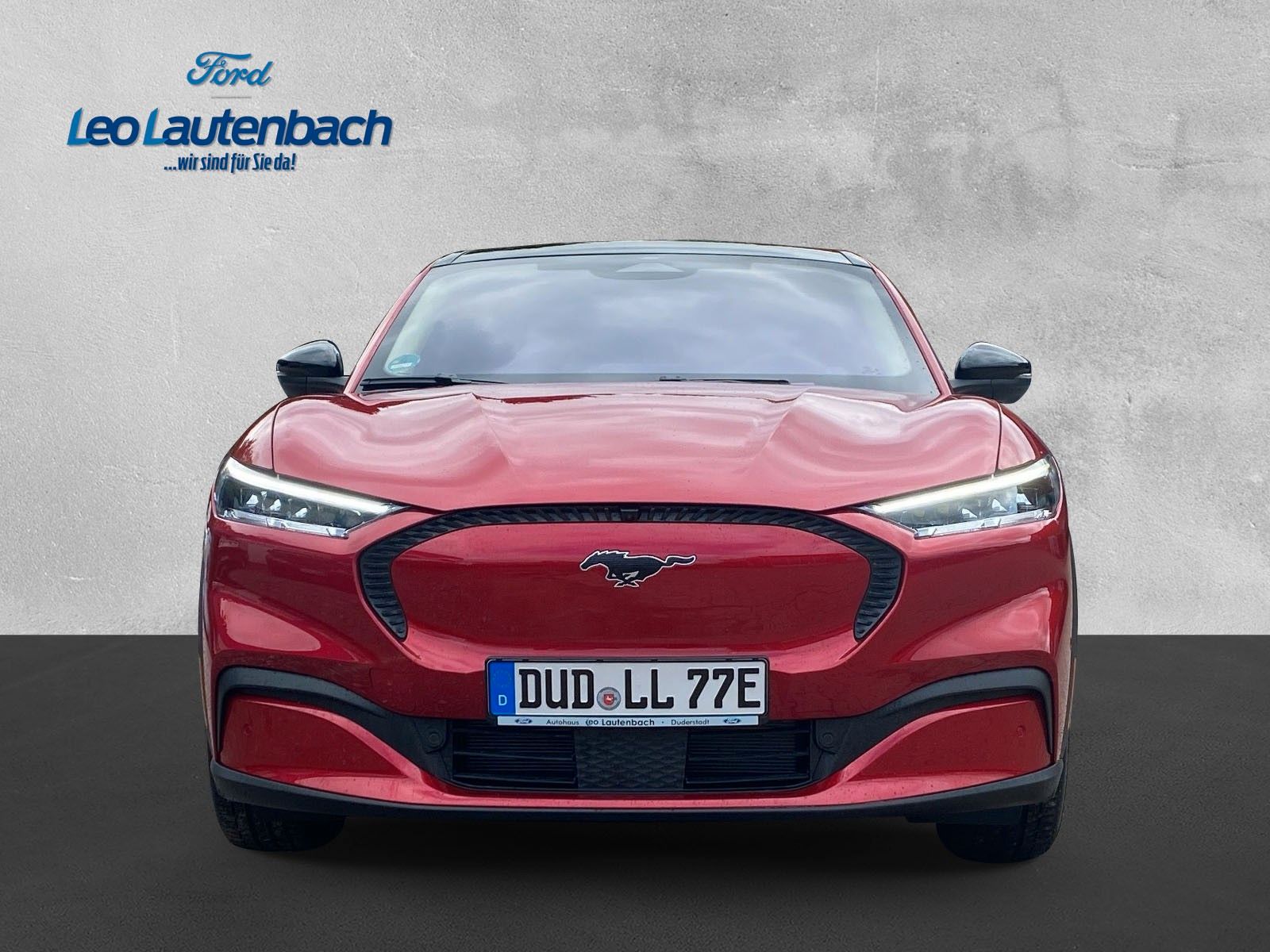Fahrzeugabbildung Ford Mustang Mach-E