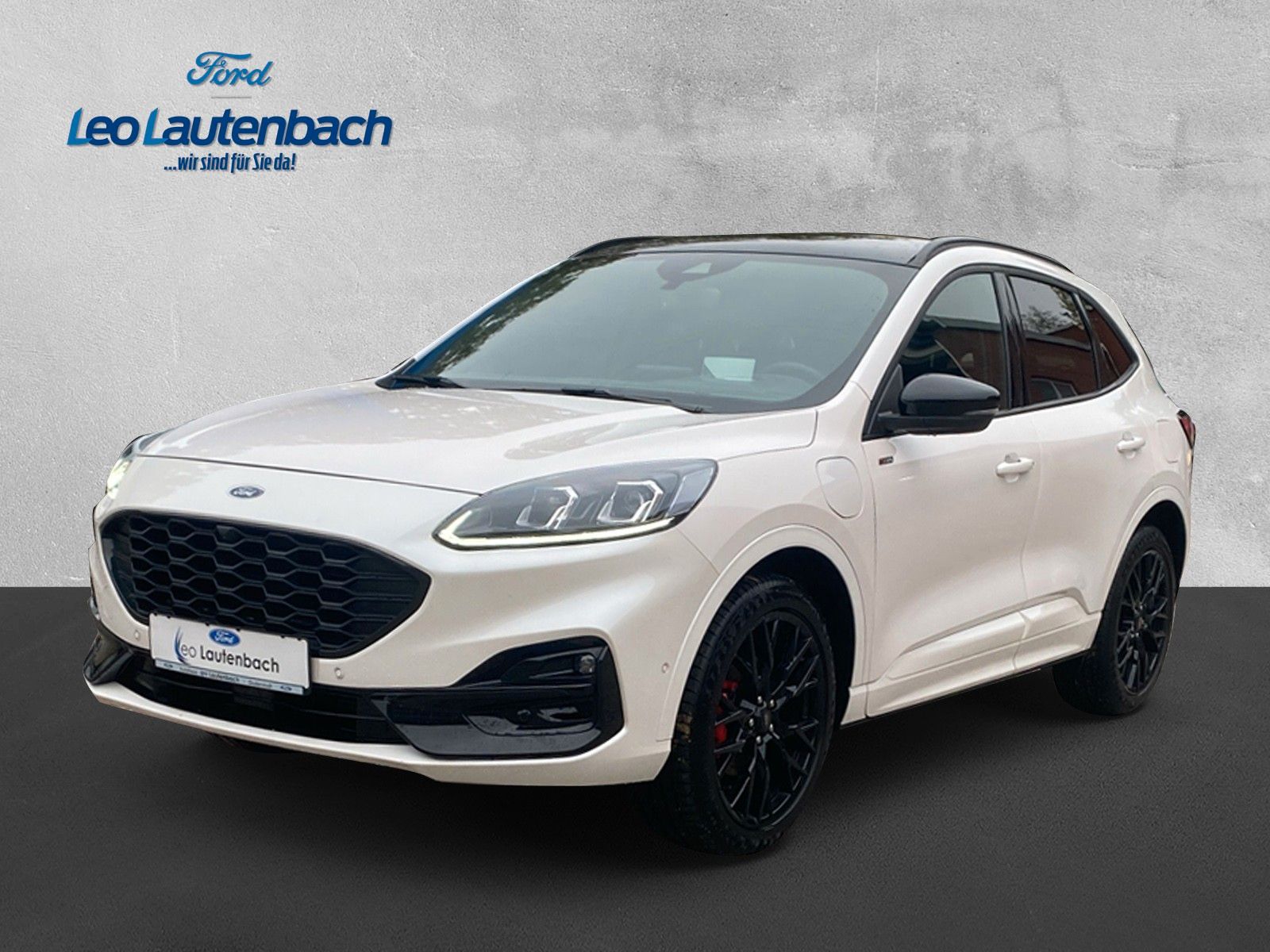 Fahrzeugabbildung Ford Kuga Plug-In Hybrid ST-Line X