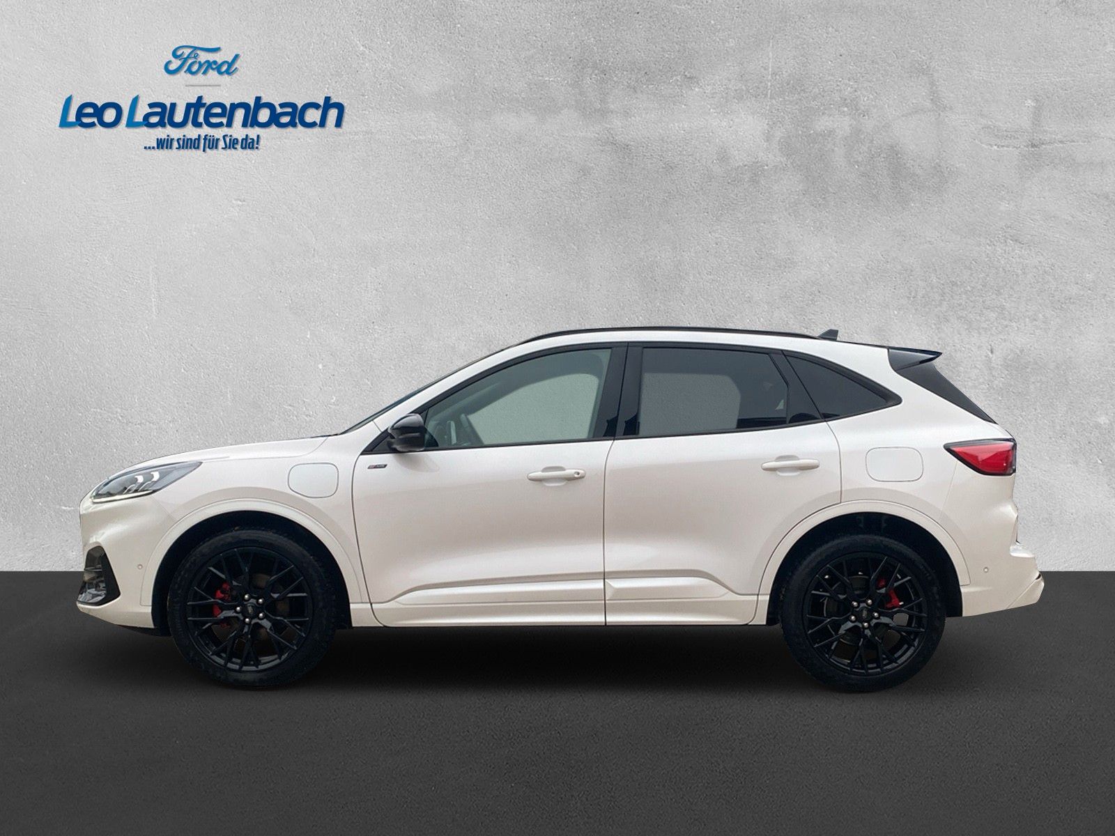 Fahrzeugabbildung Ford Kuga Plug-In Hybrid ST-Line X