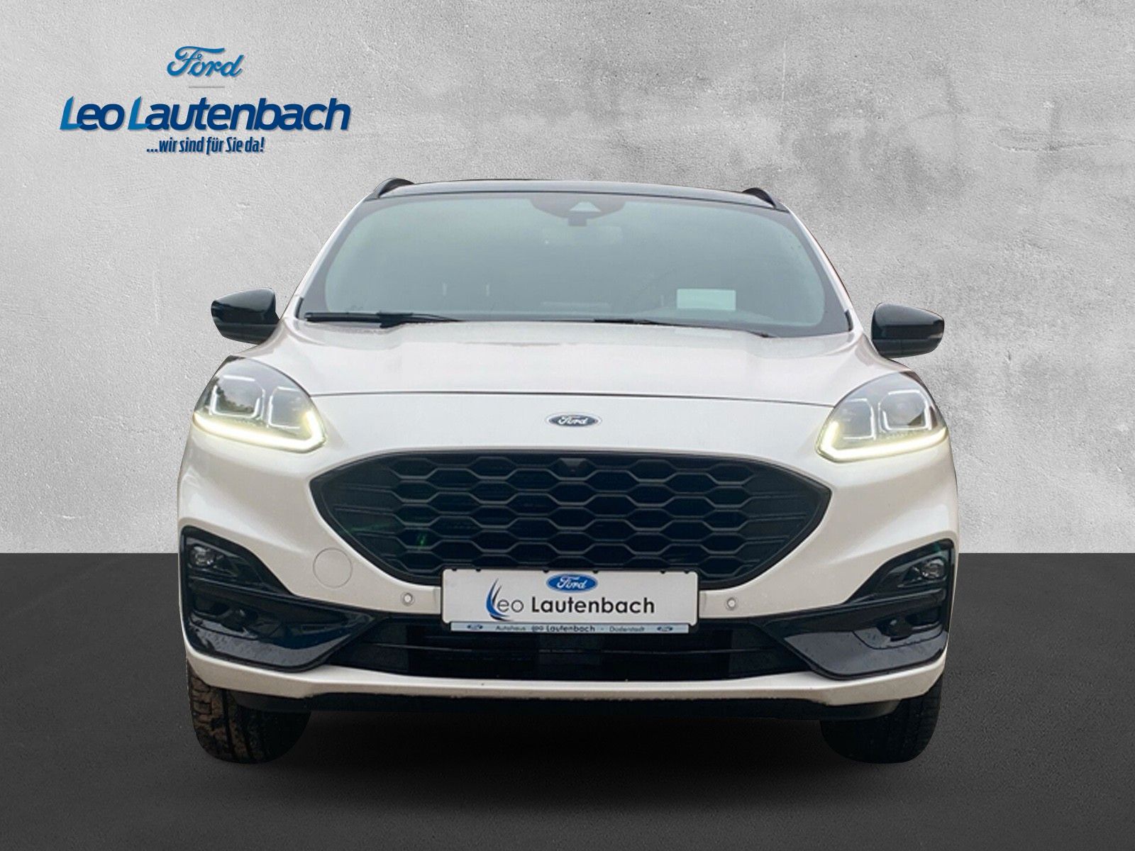 Fahrzeugabbildung Ford Kuga Plug-In Hybrid ST-Line X