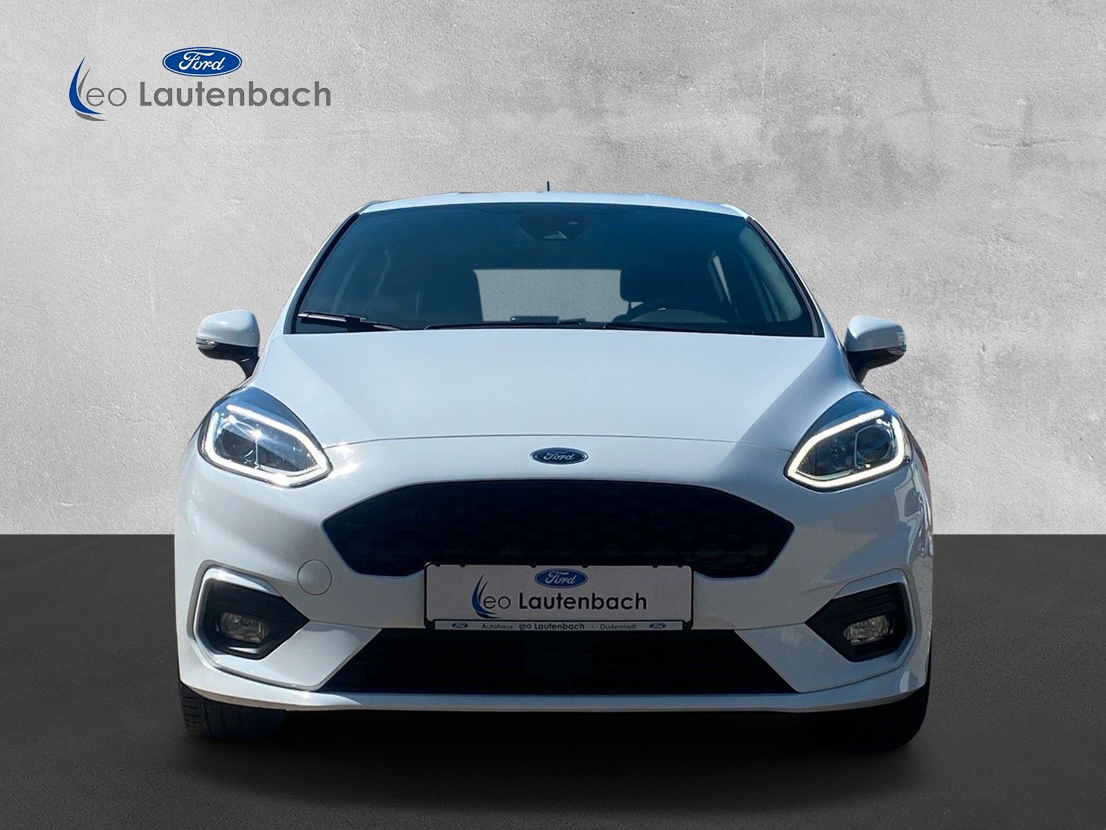 Fahrzeugabbildung Ford Fiesta ST-Line 5-türig