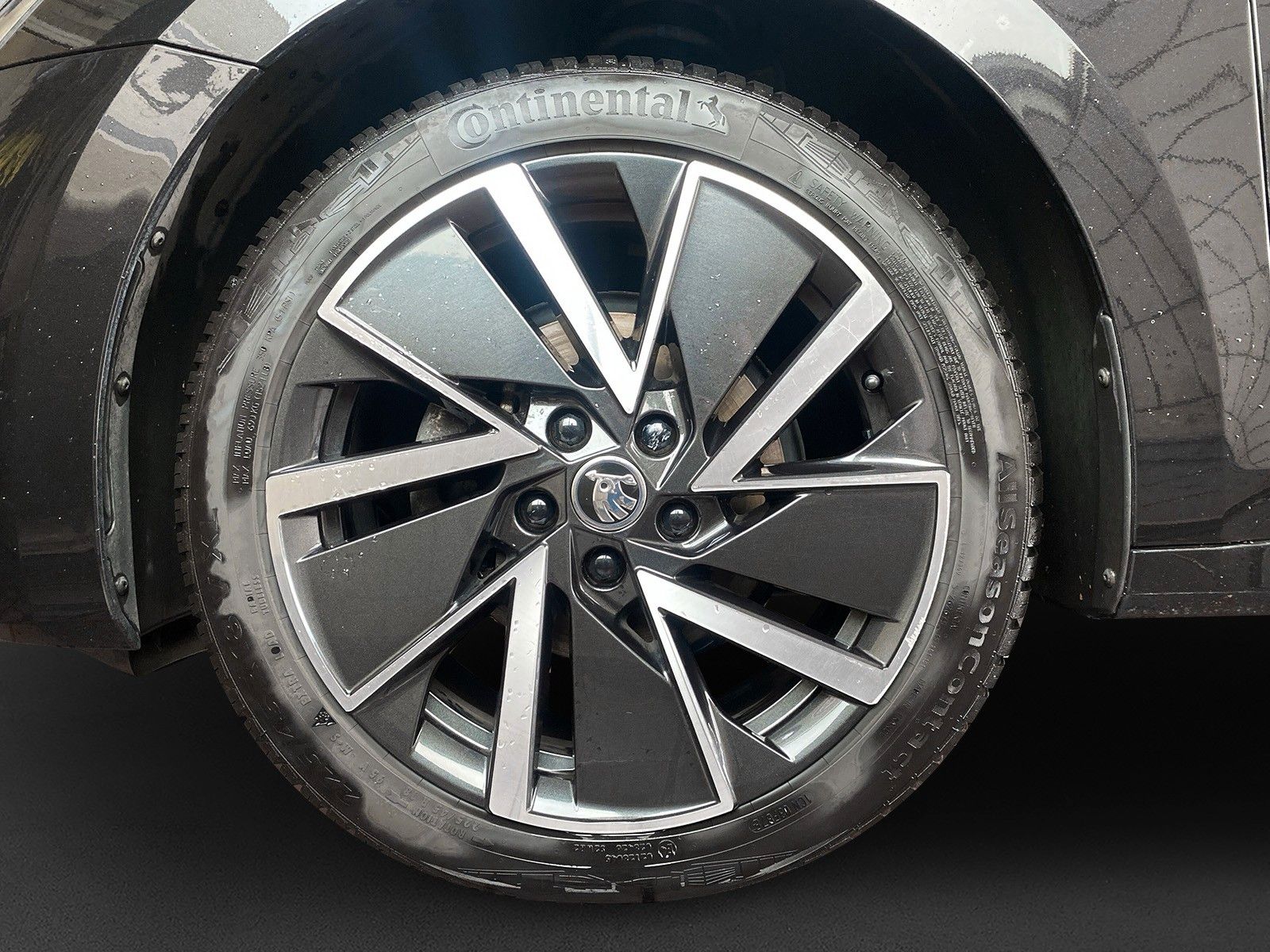 Fahrzeugabbildung SKODA Octavia Combi Style