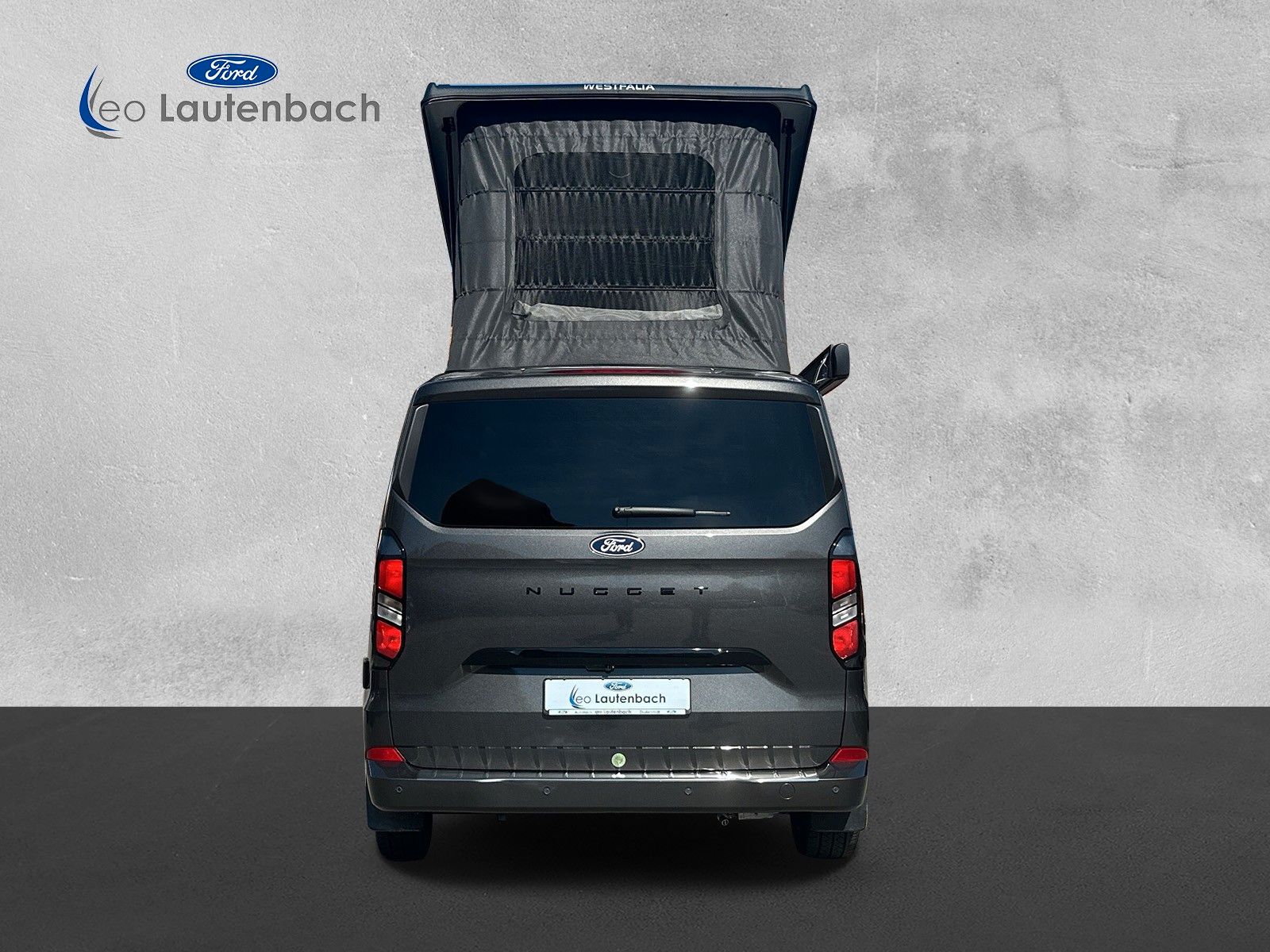 Fahrzeugabbildung Ford Nugget Titanium L1 mit PV Anlage/Techno 6