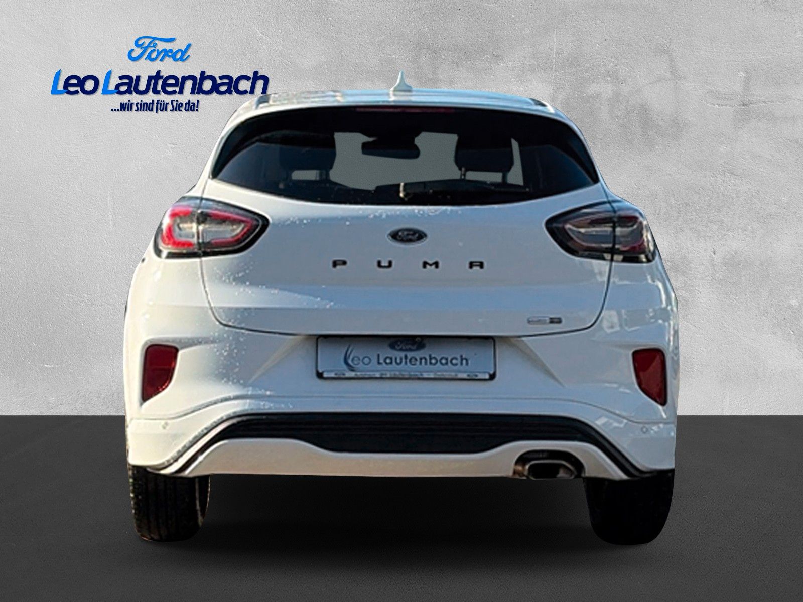 Fahrzeugabbildung Ford Puma ST-Line X