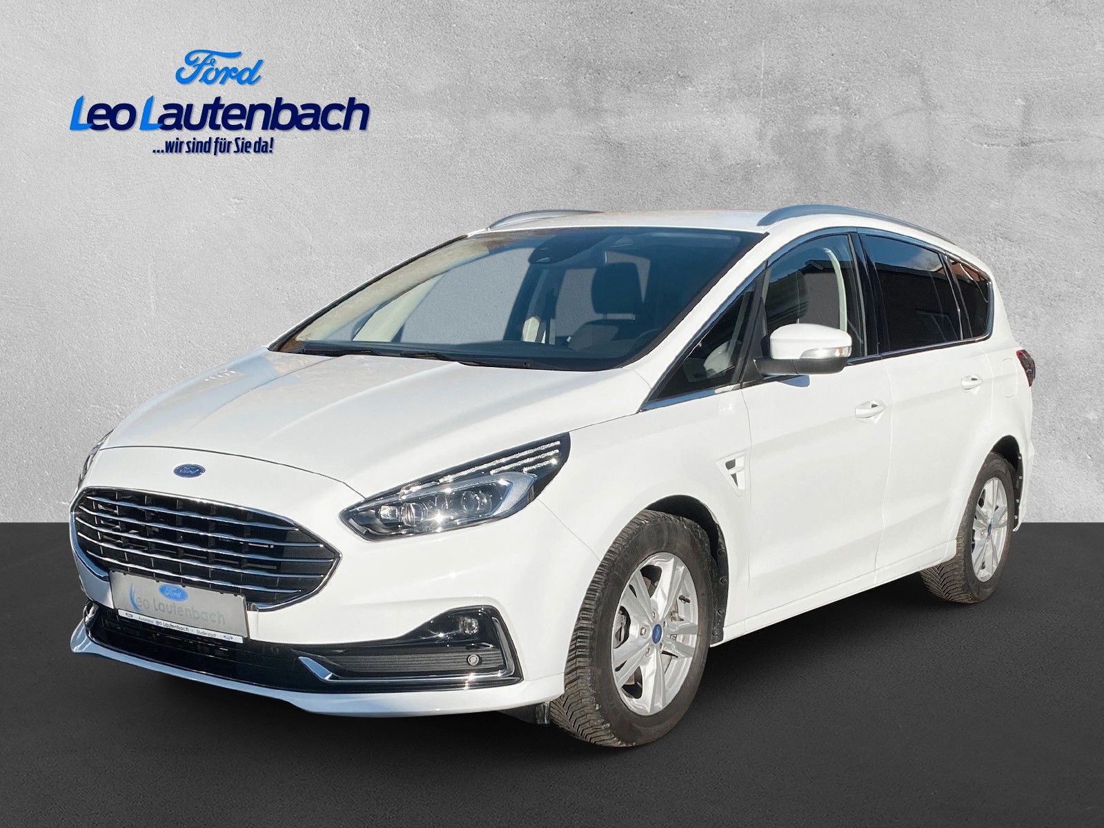 Fahrzeugabbildung Ford S-Max S-MAX Hybrid Titanium