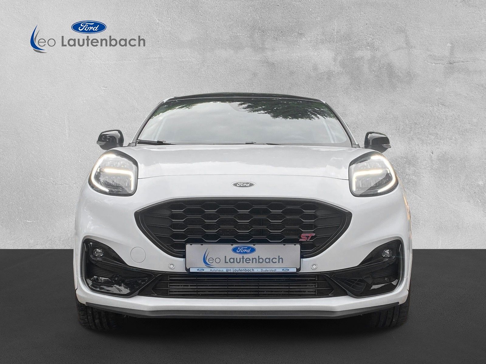 Fahrzeugabbildung Ford Puma ST X