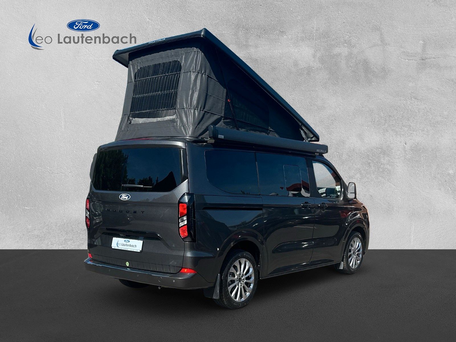 Fahrzeugabbildung Ford Nugget Titanium L1 mit PV Anlage/Techno 6
