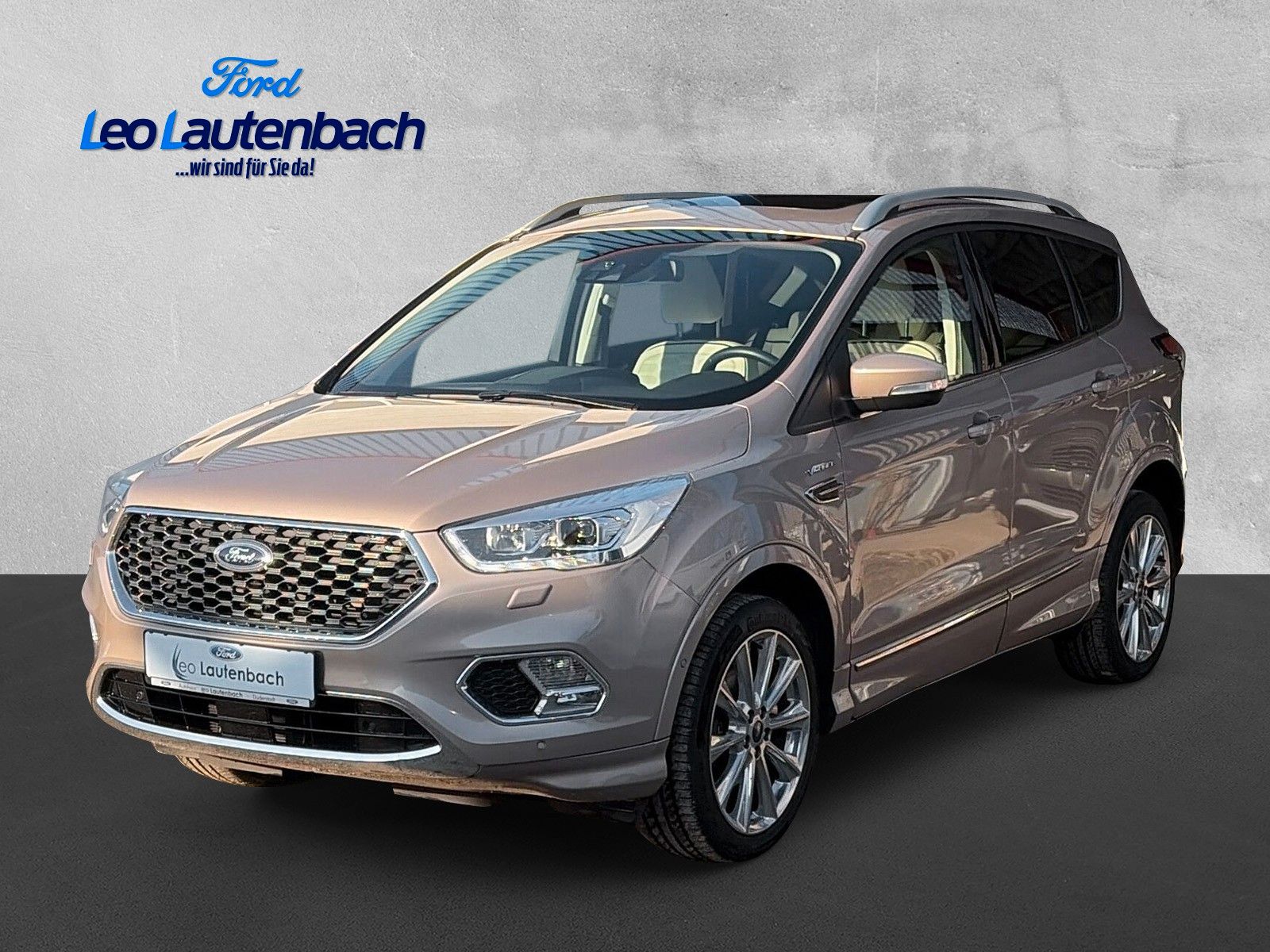 Fahrzeugabbildung Ford Kuga Vignale
