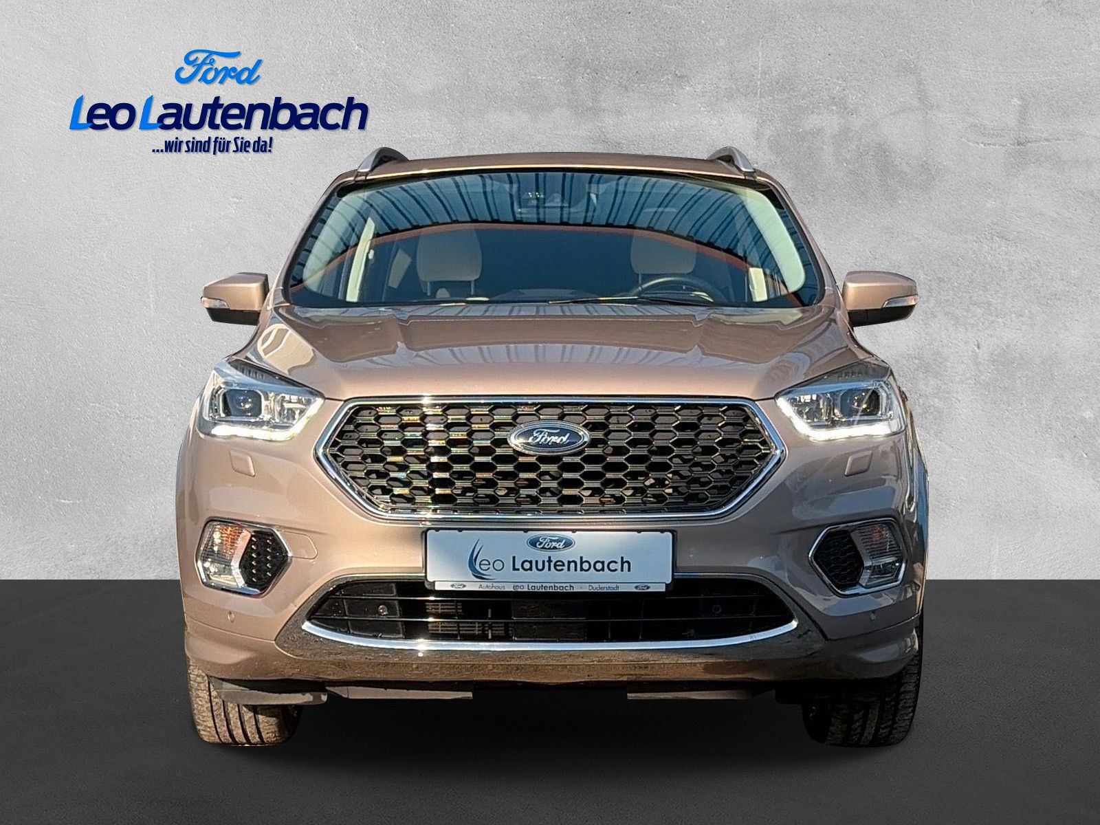 Fahrzeugabbildung Ford Kuga Vignale