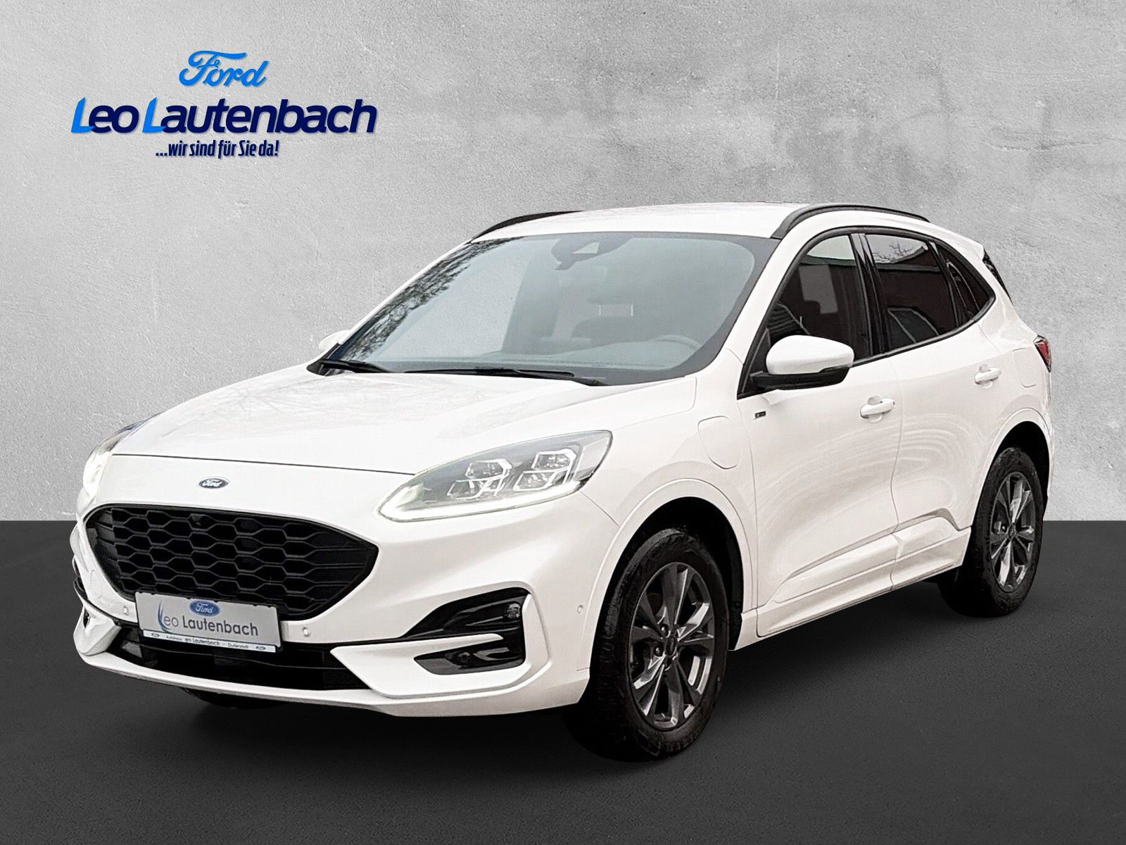Fahrzeugabbildung Ford Kuga Plug-In Hybrid ST-Line X