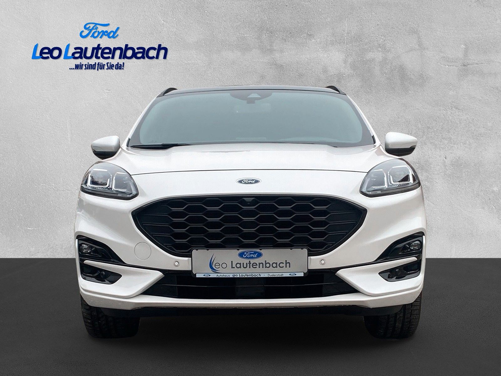 Fahrzeugabbildung Ford Kuga Plug-In Hybrid ST-Line X