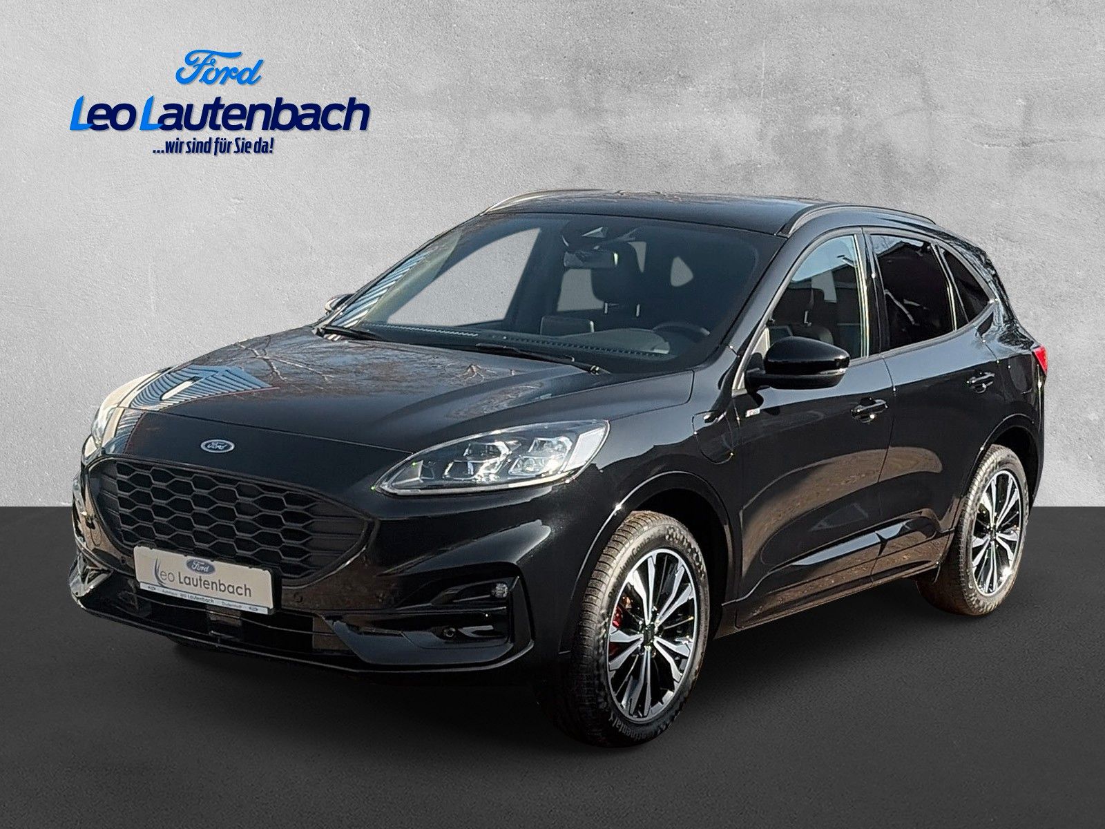 Fahrzeugabbildung Ford Kuga Plug-In Hybrid ST-Line X