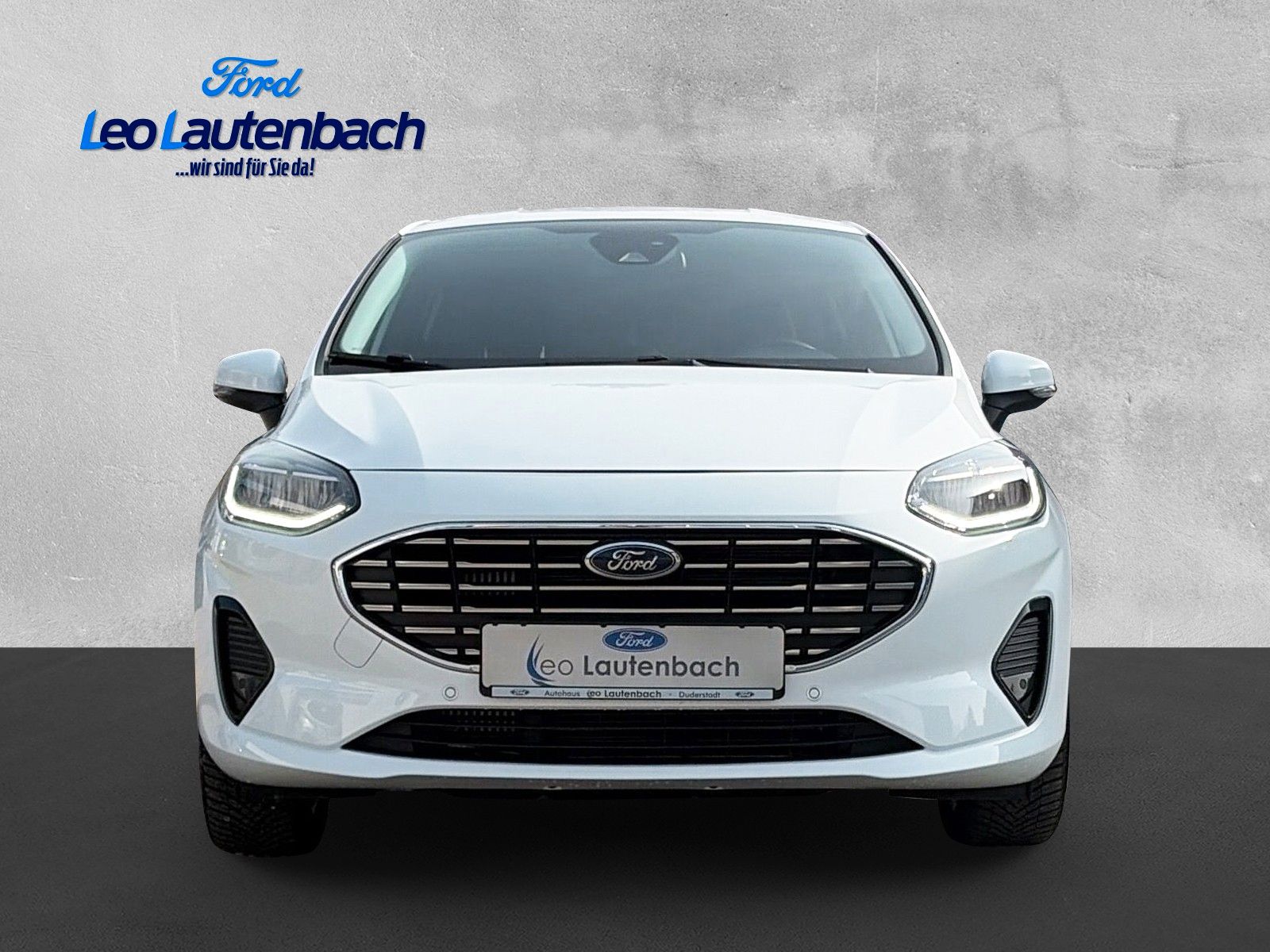 Fahrzeugabbildung Ford Fiesta Titanium