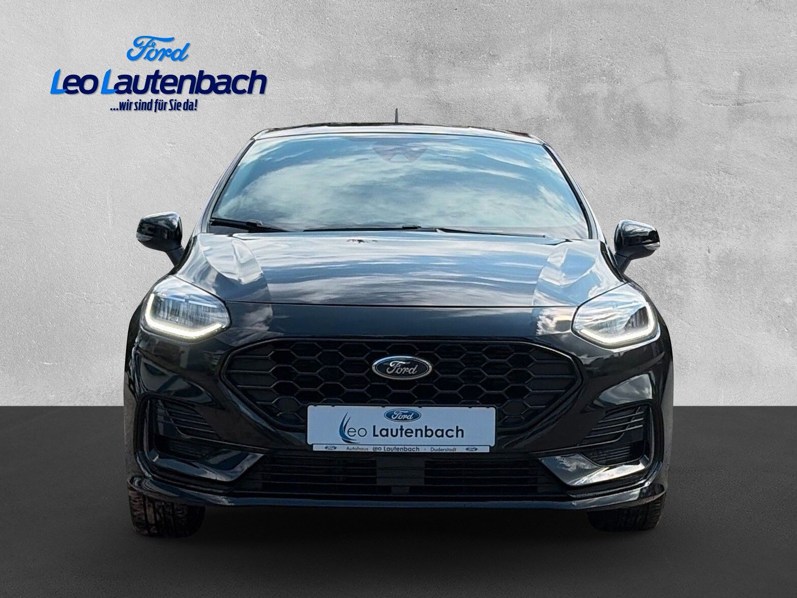 Fahrzeugabbildung Ford Fiesta ST-Line
