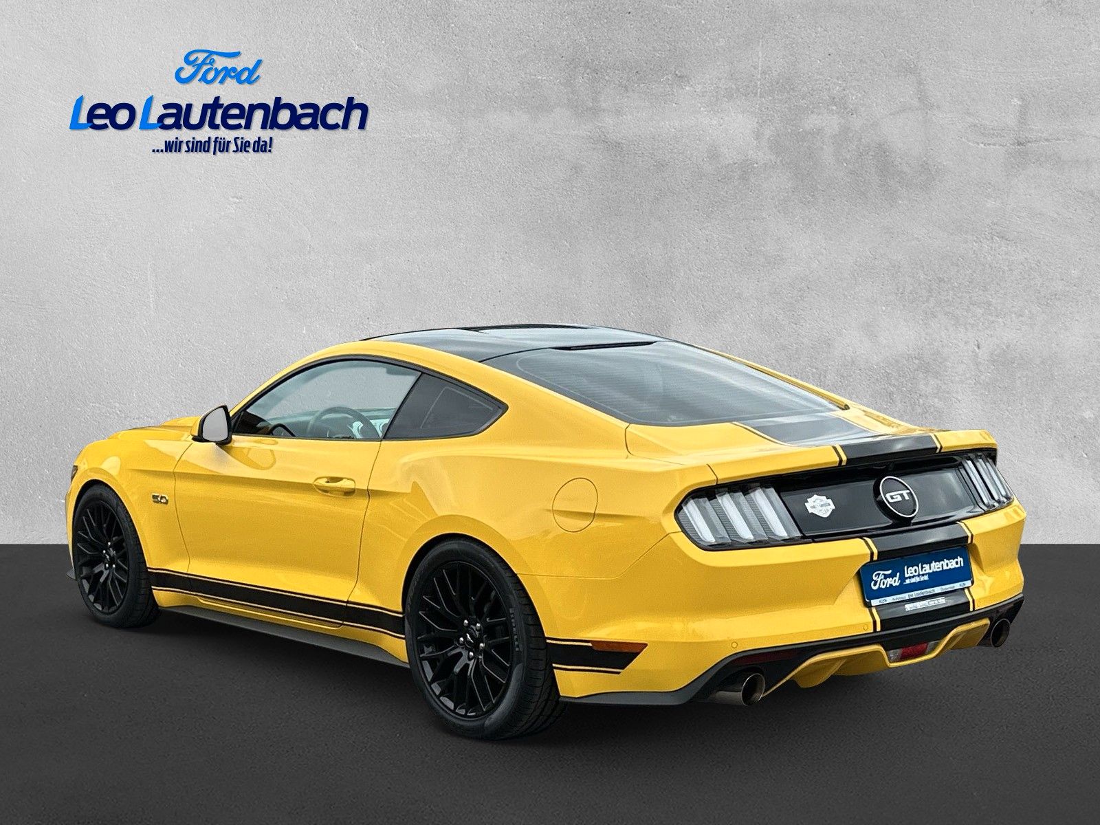 Fahrzeugabbildung Ford Mustang GT Fastback 19.000 Kilometer