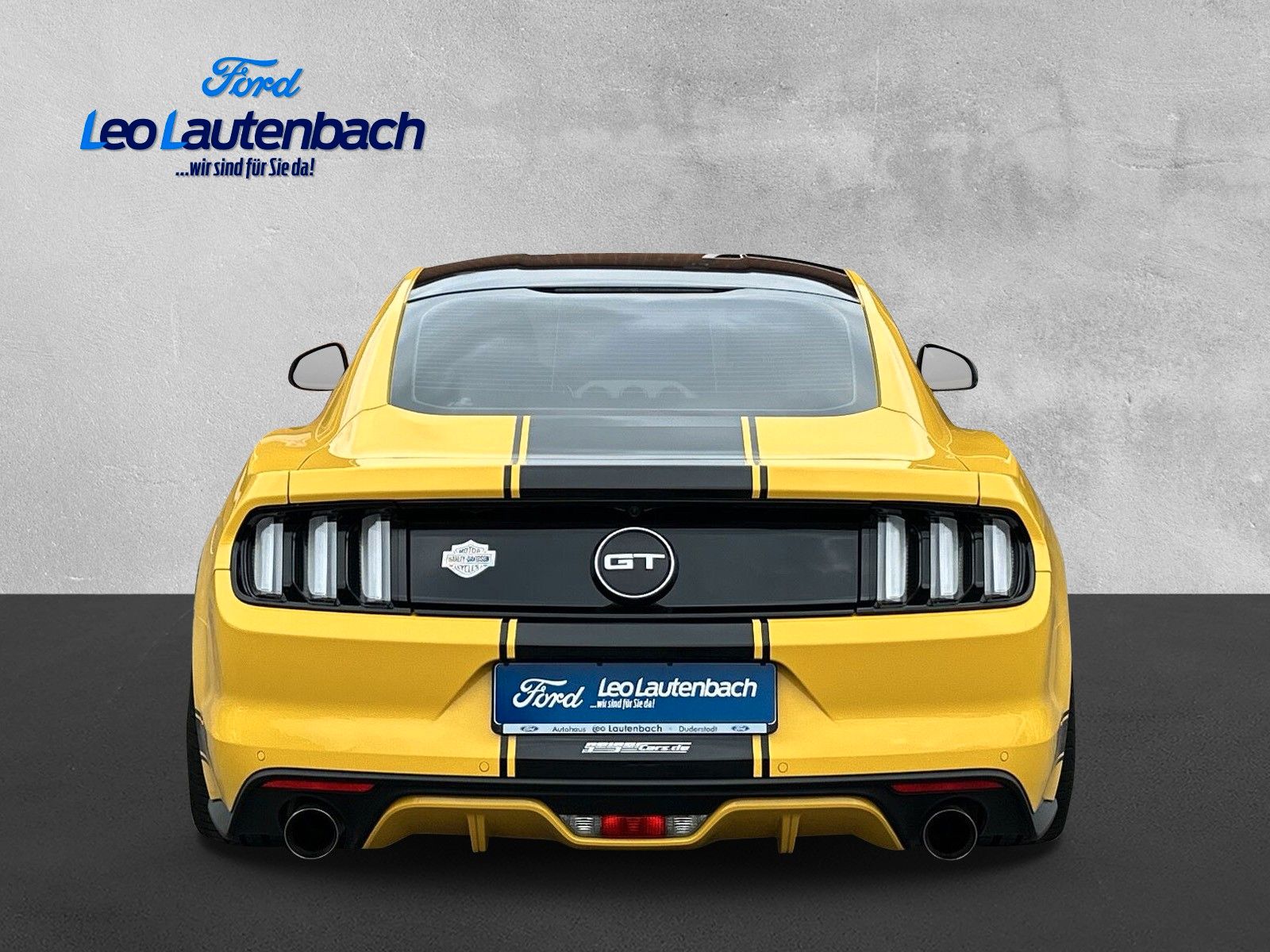 Fahrzeugabbildung Ford Mustang GT Fastback 19.000 Kilometer