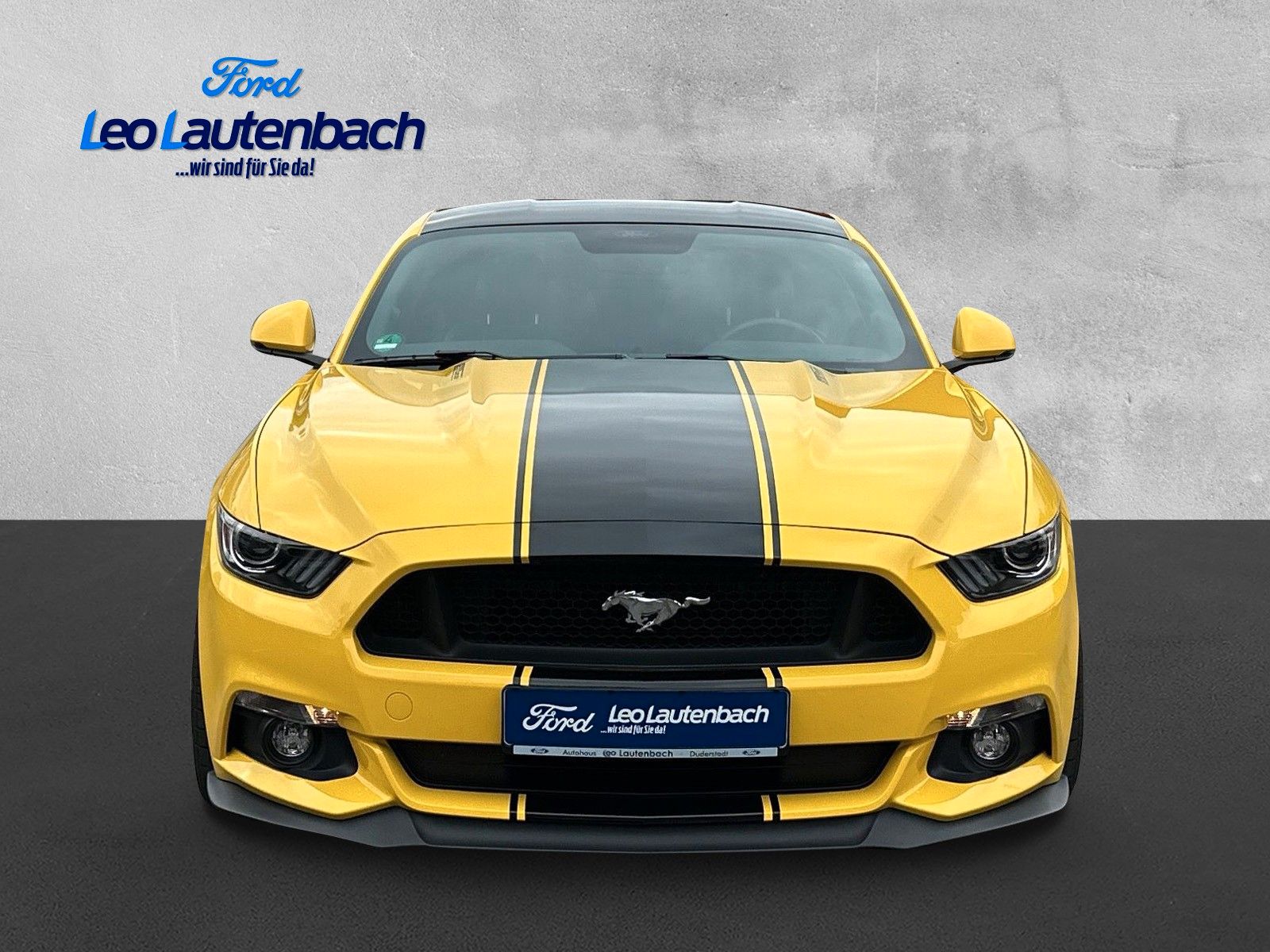 Fahrzeugabbildung Ford Mustang GT Fastback 19.000 Kilometer