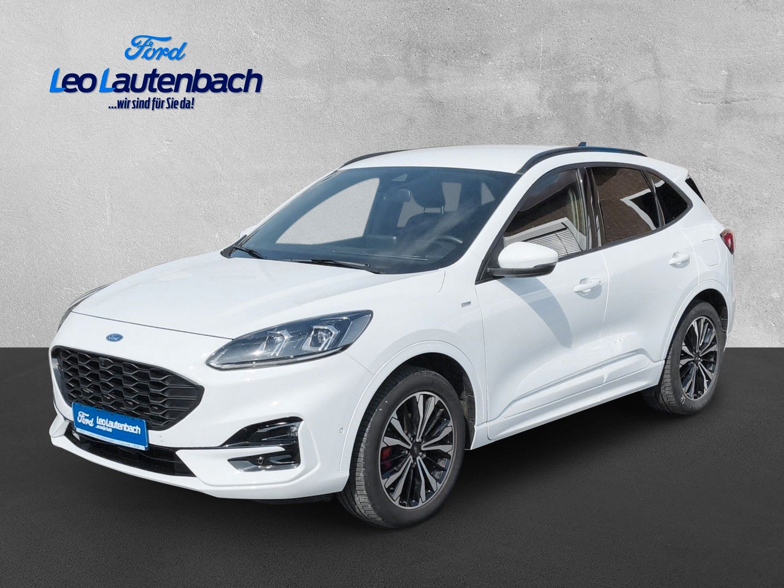 Fahrzeugabbildung Ford Kuga ST-Line X 4x4