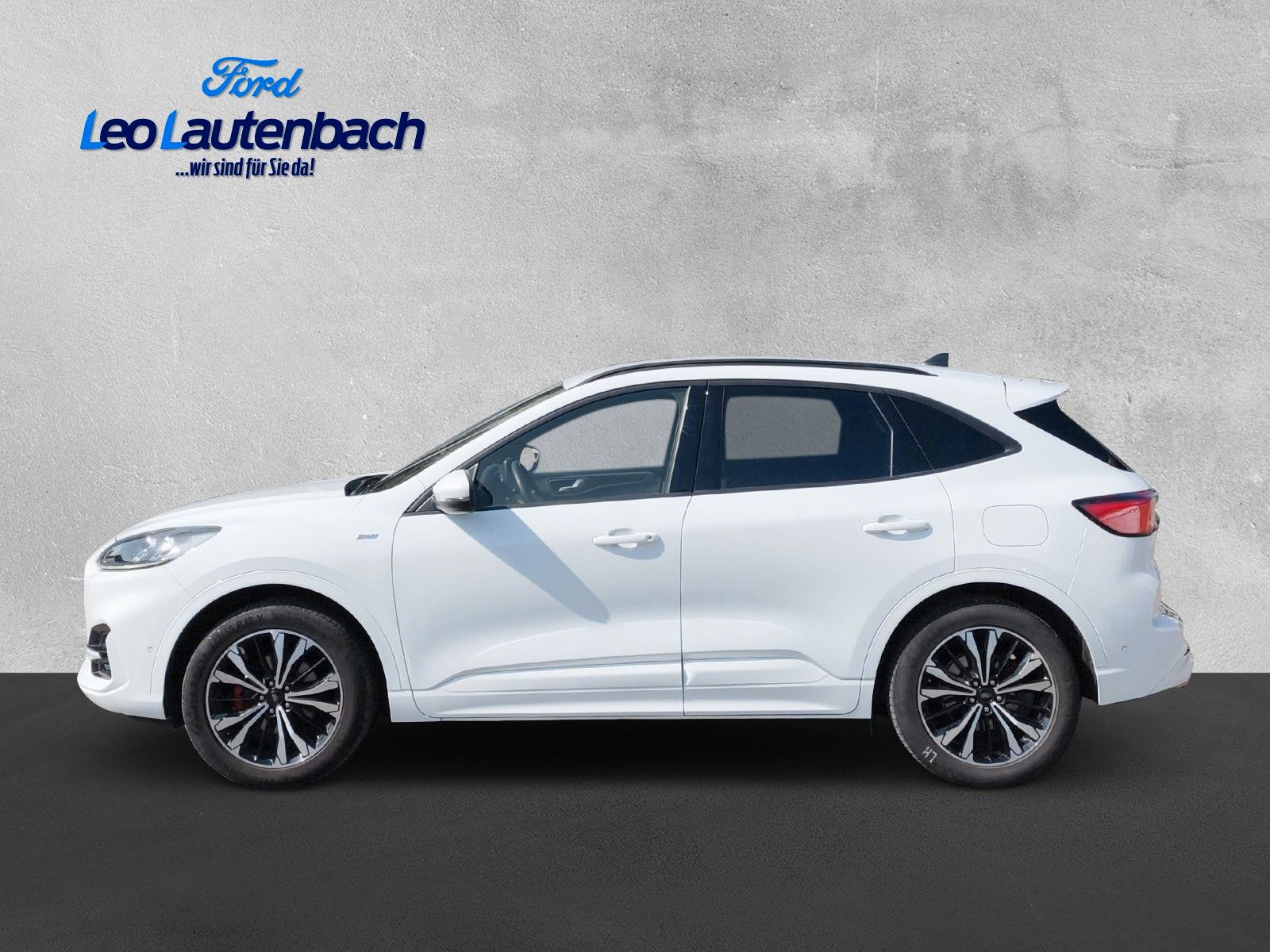 Fahrzeugabbildung Ford Kuga ST-Line X 4x4