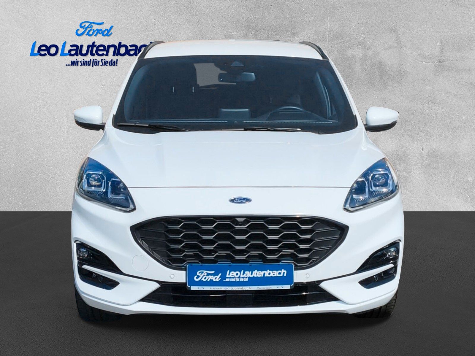 Fahrzeugabbildung Ford Kuga ST-Line X 4x4