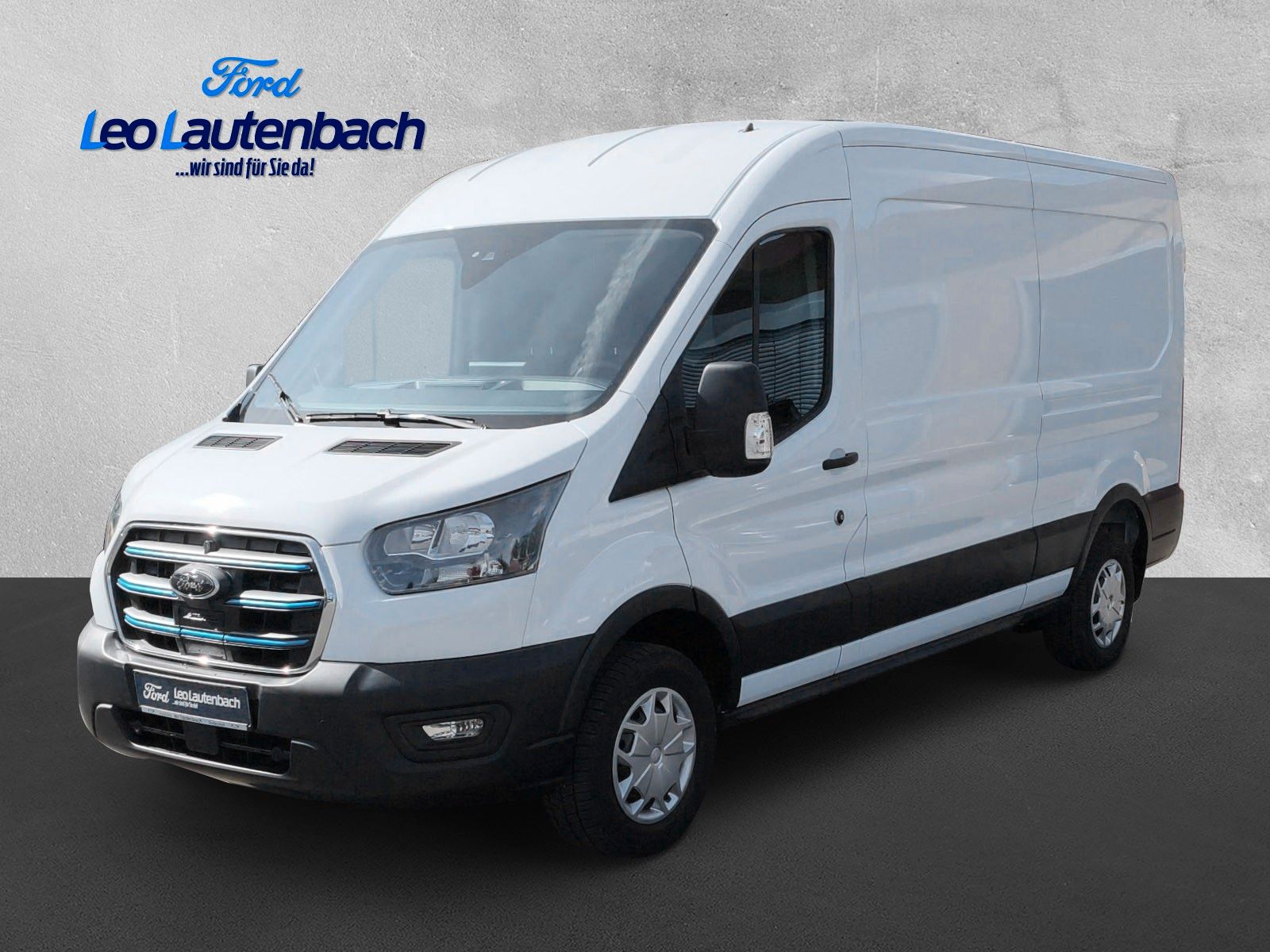 Fahrzeugabbildung Ford Transit Kasten E 350 L3 Trend
